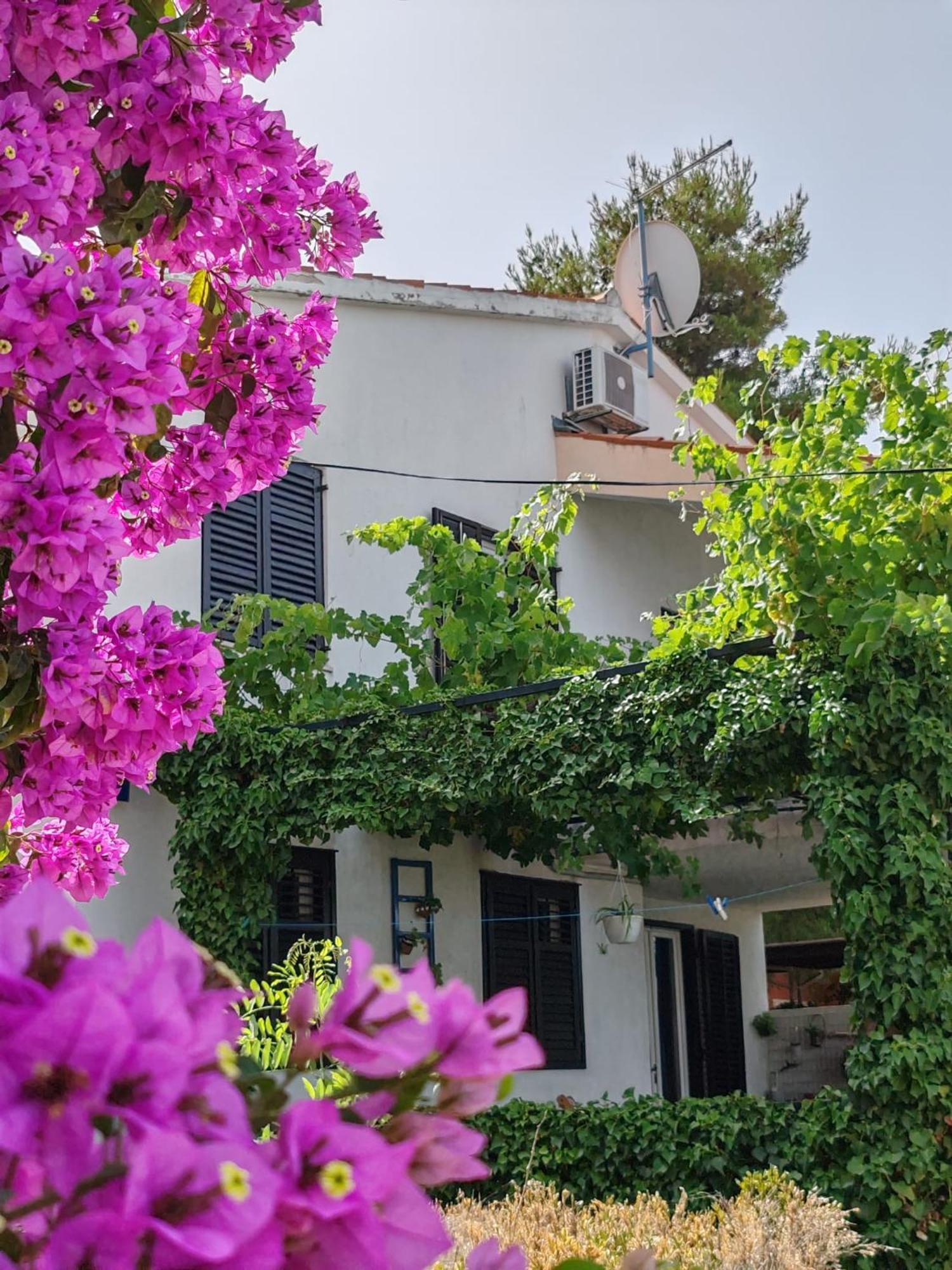 Apartments Markotic Клек Экстерьер фото